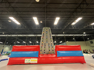 Barry Mới Tùy Chỉnh PVC Phổ Biến Nhất Xách Tay <span class=keywords><strong>Inflatable</strong></span> <span class=keywords><strong>Bouncer</strong></span> Trẻ Em Người Lớn Leo Núi Leo Núi <span class=keywords><strong>Inflatable</strong></span> Rock Leo Núi Tường - Product Image 4