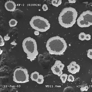 थर्मल स्प्रे अनुप्रयोगों मॉडल KF-<span class=keywords><strong>2</strong></span>/KF-6 के लिए बिग्रीम निकल-क्लैड एल्यूमीनियम पाउडर (नीक क्लाड मिश्र धातु 82% नी) - Product Image 3