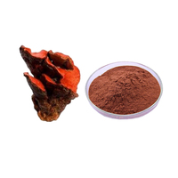 Natuurlijk Antrodia Camphorata Fruitlichaam Extract Poeder Polysacchariden 30%