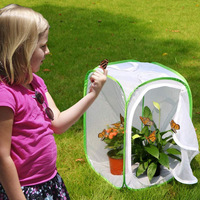 Boîte de présentation pliable et portable en maille transparente pour plantes vertes en pot d'intérieur, modèle MY-021, idéale pour l'exportation transfrontalière