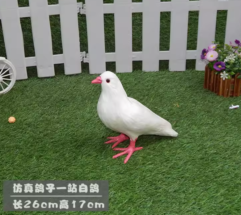 Pink standing pigeon