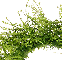 Vente en gros de guirlande suspendue de simulation de plante artificielle, herbe, fleur artificielle pour décoration de jardin intérieur et extérieur