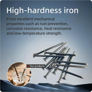 مسمار مشترك 6 بوصة وأظافر البناء للخشب ومشاريع البناء والتشييد الخرسانية - Product Image 3