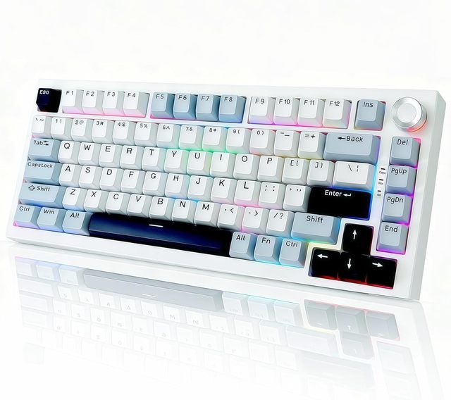 Wireless Mechanical Keyboard with Knob Backlit Side Printed PBT Keycaps 2.4GHz USB-C BT5.0 Mechanical Gaming Keyboards
