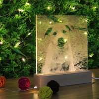 Lampe de nuit LED 3D à illusion d'optique en acrylique, lampe de table de chevet en bois USB, lampe visuelle en acrylique, décoration d'intérieur