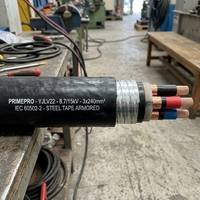 Câble de moyenne tension PrimePro YJLV22 8,7/15 kV |   Conducteur en aluminium compacté |   Bande d'acier double blindée (DSTA) |   Écran de protection en cuivre |