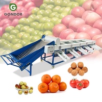 Commerciële automatische sorteer- en sorteermachine voor ananas, drakenvrucht, bosbes en sinaasappel, inclusief was- en wasmachine.