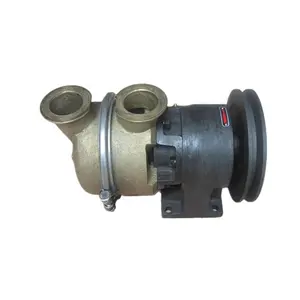 Diesel engine parts NT855 K19 K38 Sea Water Pump 3655857 for Engine Cooling System