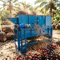 Automatische nieuwe 2t/u hoog-efficiënte hete pers palmboombundel dorsmachine met trommeldesign voor palmolie-extractieplant