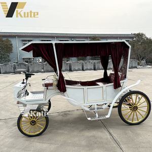 Carruaje Eléctrico de Lujo para Bodas o Turismo, Precio de Fábrica - Product Image 5