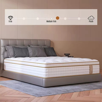 Nouveau matelas de chambre à coucher Dream Sleep, matelas roulé de 12 pouces en mousse à mémoire de forme gel et ressorts ensachés, mousse de polyuréthane