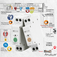 Disjoncteur intelligent WiFi 63A en cuivre 1P avec télécommande sans fil, protection contre les surintensités, capacité de coupure 6kA