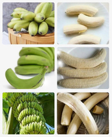 Automatische Groene Bananenhuid Verwijderen Machine Groene Bananenweegbree Dunschiller Machine Maquina De Descascar Banaan