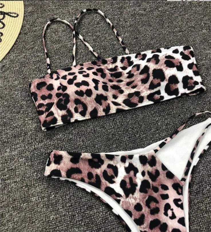 เสือดาว