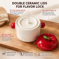 Casserole en céramique mignonne en forme de pomme, 480 ml, à double couvercle, résistante à la chaleur, pour desserts et ragoûts, directement de l'usine