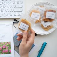 Étiquette adhésive thermique directe en rouleau 50x30 pour codes-barres, résistante à l'huile, pour usage alimentaire, vente en gros directe usine Baiyuan et échantillon gratuit