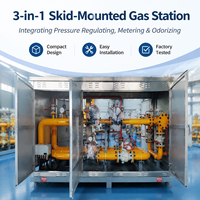 Unité de régulation de pression montée sur skid pour la mesure du gaz naturel de haute précision, débit de 100 à 15 000 Nm/h, antidéflagrante ATEX pour