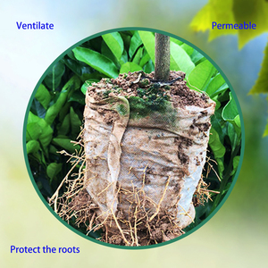 Bolsa de Cultivo <span class=keywords><strong>Desechable</strong></span>, No Tejida, Ecológica, Biodegradable, para Semilleros, <span class=keywords><strong>Maceta</strong></span> para Cultivo de Plantas - Product Image 6
