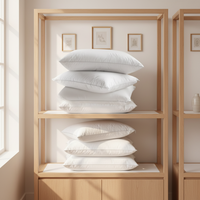Oreiller de luxe respirant en coton pour hôtel et maison, lavable, doux et chaud, avec rembourrage en polyester, taille Queen, vente en gros