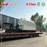 DZH2.0-1.25 Boiler Uap Industri Efisiensi Tinggi 4.5 Ton Berbahan Bakar Biomassa