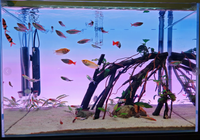 Éclairage LED pour aquarium Edgelight 100*50cm ultra-fin, série RGB, plaque de guidage de lumière pour aquarium, aluminium + acrylique, dimmable