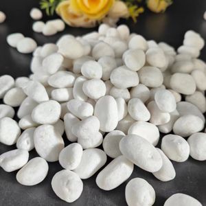 Vườn cảnh quan tuyết trắng sỏi đá rửa hỗn hợp màu sỏi - Product Image 5