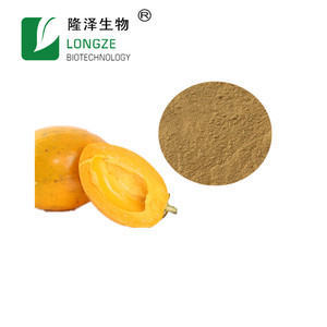Polvo de Extracto de Lucuma/Puerto de Alta Calidad, Grado Alimenticio, Polvo de Fruta del Huevo, Pouteria - Product Image 2