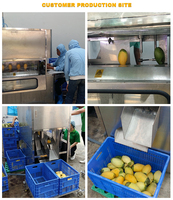 Volledig automatische groente- en fruit schilmachine voor appel, peer, pompoen, mango, aardappel, perzik, papaya, wortel; schil- en huidverwijderaar