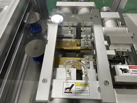 Petite machine en plastique entièrement automatique de forme-remplissage-joint d'ampoule (FFS) pour l'emballage liquide
