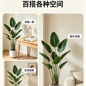 Planta Artificial Ave del Paraíso de 60 cm, Decoración de Interiores, Palmera de Viajero en Maceta, Adorno para el Hogar - Product Image 5