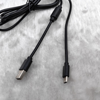 Câble de charge pour manette avec anneau magnétique, en PVC, logo gaufré, cordon USB-C pour PS5 Playstation 5 P5, manette de jeu