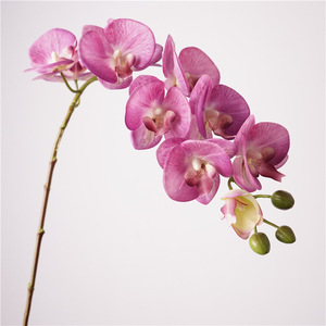 RK212 Orquídeas Artificiales al por Mayor, Phalaenopsis <span class=keywords><strong>Dendrobium</strong></span>, Orquídea Mariposa de Látex, 10 Cabezas, Flores de Orquídea Artificiales de Tacto Real - Product Image 3