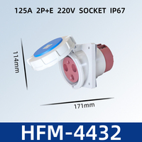 Produit de prise et de fiche électriques industrielles mâle et femelle HFE IP67 220V 63A 3 broches 2P+E