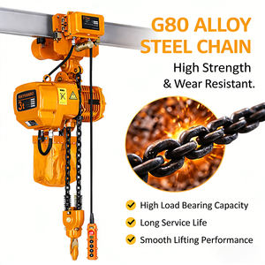 Carretilla tipo gancho de aplicación amplia tipo HHBB polipasto eléctrico Chian 0.5Ton 1Ton <span class=keywords><strong>2</strong></span> Ton 3 Ton 5 Ton 7,5 Ton 10 Ton - Product Image 3