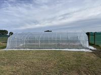 Serre tunnel économique à simple travée en film plastique pour jardin et petite exploitation agricole
