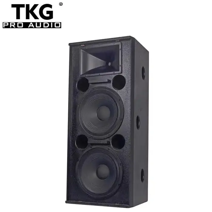 TKG DS-215 15 inch 1000W performance stage dual 15" speaker audio professional