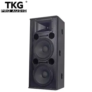 TKG DS-215 15 인치 1000W 성능 무대 듀얼 15 "스피커 오디오 전문