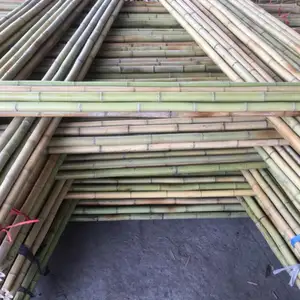 Varas de bambu fortes e ecológicas grandes e baratas por atacado de tamanhos diferentes