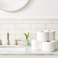 Papier toilette écologique de qualité supérieure, fournisseur de papier toilette, papier hygiénique, essuie-tout et toilettenpapier pour distributeur