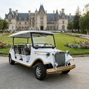 合法上路的电动老式车 经典观光车 老式车专用交通工具 - Product Image 1