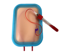 Kit de Modèle d'Entraînement en Silicone pour Ponction Veineuse, Coussin de Peau Artificielle pour la Pratique du Prélèvement Sanguin et des Injections IV