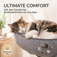 Lit pour chat en feutre de luxe solide et détachable avec ventouses puissantes, hamac et nid suspendus pour fenêtre, perchoir sans fil pour chat