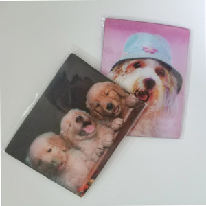 Ricky 3D Basketball League Team Custom Eco-Friendly Fridge Magnet with Flip Effect for Sports Decor - Product Image 6