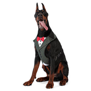 Traje de Moda para Mascotas, Correa para el Pecho, para Perros Grandes, Medianos y Pequeños, Traje para Gatos - Product Image 5