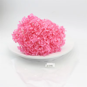 Fornitura diretta di fabbrica Anna palla fiori eterni conservati Anna ortensia fiore - Product Image 4