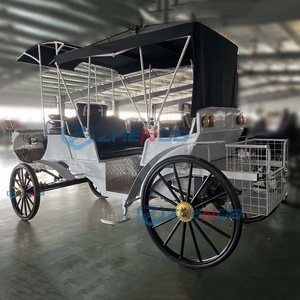 Black Sunshade Electric <b>Double</b>-row Sightseeing Carriage/leisure Sightseeing Carriage Sells Well - Product Image 3