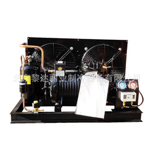 Unidad de Refrigeración Ybf0800gr con Compresor Copeland R-410A 220V~240V, Conjunto Completo para Almacenamiento de Alimentos - Product Image 5