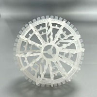 Ceilcote Tellerette Rosette Ring 2K 3K PP Zufallsturmverpackung für Abwasserbehandlung, Chemikalieninjektion und Rauchgaswäsche