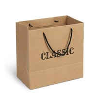 Sacs cadeaux en papier élégants avec poignées torsadées, sacs de shopping de luxe personnalisés pour boutiques, mariages, bijoux et fournitures de fête