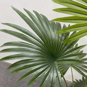 Palmier Tropical Artificiel de Simulation 1.6/1.8m Maison Fruit Vert Palmiers Ventilateur Artificiel Palmier Arbre en Pot - Product Image 6